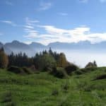 bogenbau-felsentor-vierwaldstaettersee